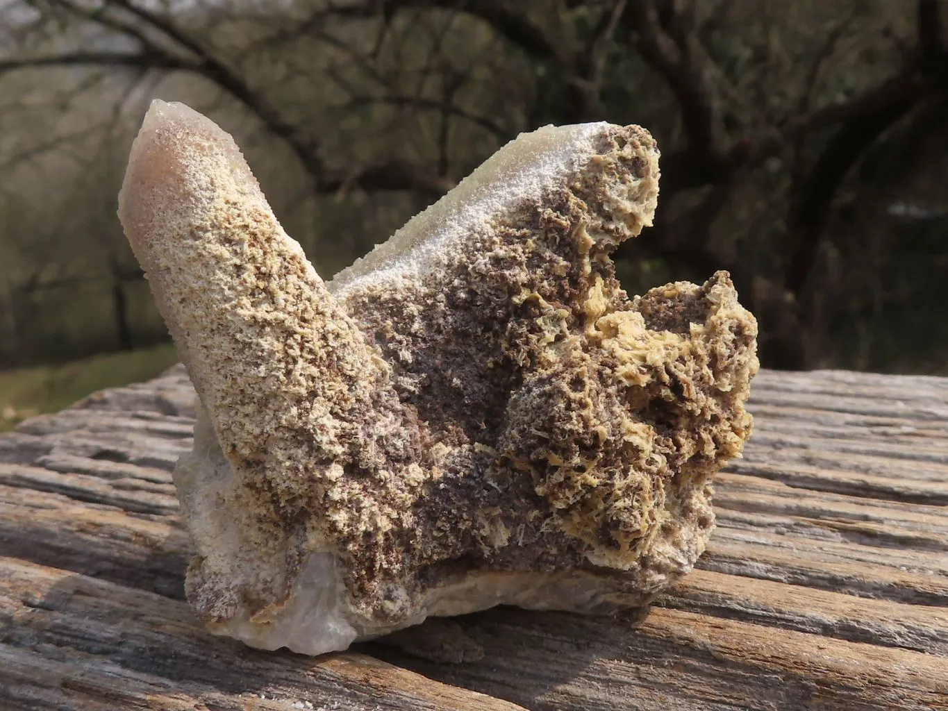 Natural Drusy Limonite Coated Fairy Spirit Quartz Clusters x 24 From Boekenhouthoek, South Africa