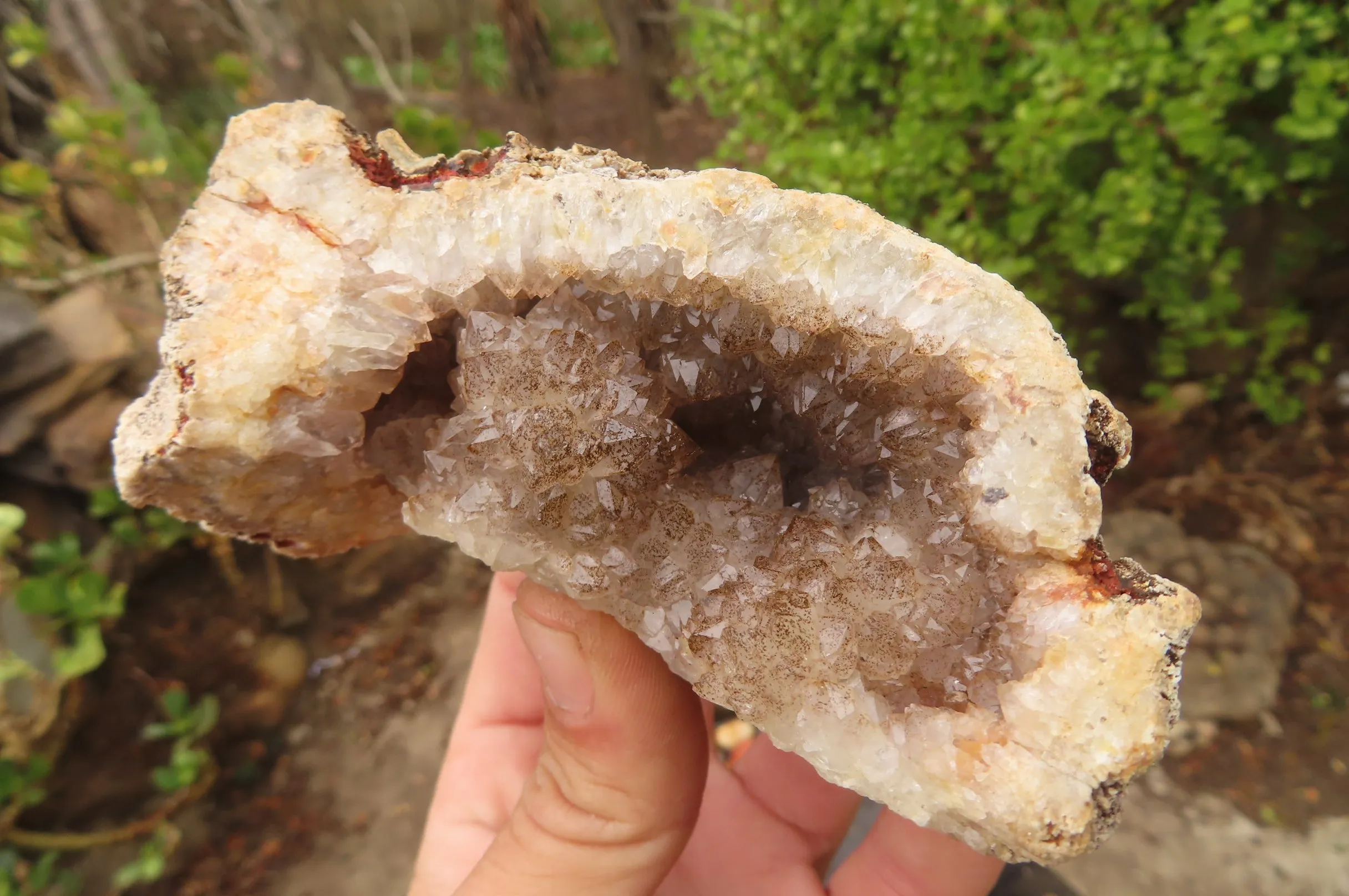 Natural Unusual Red Zululand Agate and Amethyst Geodes x 5 From South Africa